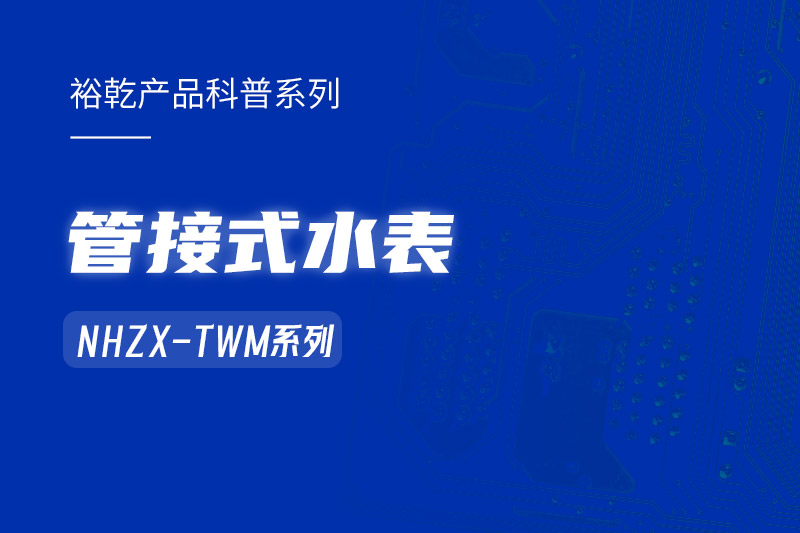 管接式水表NHZX-TWM系列：解析其在能耗監測系統中的關鍵作用！